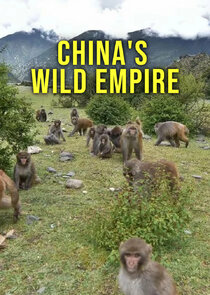 Chinas Wild Empire